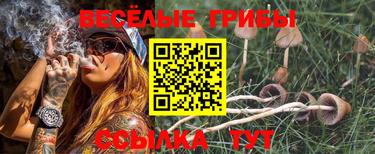 Галлюциногенные грибы GOLDEN TEACHER  Вход с VPN  Псилоцибиновые грибы прущие грибы  Ульяновск 